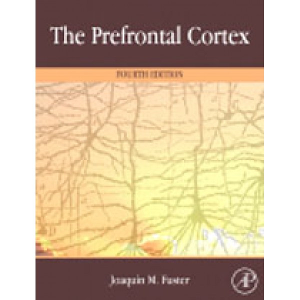 The Prefrontal Cortex, 4e