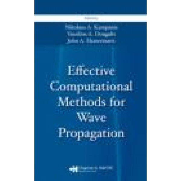 Effective Computational Methods for Wave Propagation